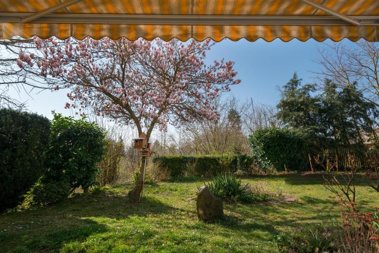 Fewo Oasis Mendig Exterior photo
